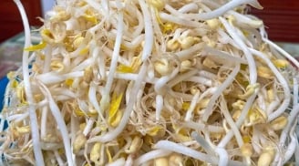 5 loại rau “vua thải độc” giúp thanh nhiệt mùa nắng nóng, chợ Việt bán rất nhiều