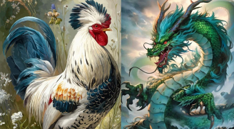 Thứ Hai, Ba 27-28/4: 3 con giáp càng giao lưu càng dễ bứt phá, cơ hội công việc mở rộng bất ngờ