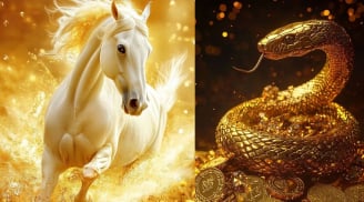 Kỳ nghỉ lễ bất ngờ “đổi vận”: 3 tuổi đi chơi cũng gặp cơ hội vàng, cơ hội cùng gõ cửa