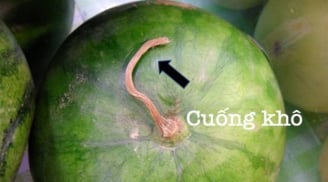 Mẹo chọn hoa quả ngày hè an toàn: 10 loại quả ngon ngọt, tươi sạch