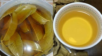 Nước lá ổi rất tốt: Có 5 nhóm người nên uống thường xuyên