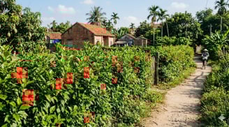 Món canh “từ hàng rào” gây tò mò: Đặc sản Ninh Bình khiến du khách ăn là nhớ