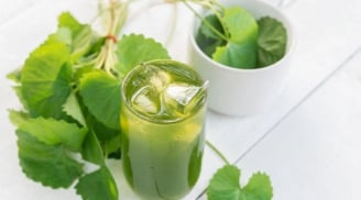 6 nhóm người nên uống nước rau má