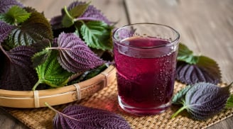 Những người nên cẩn trọng khi dùng nước lá tía tô