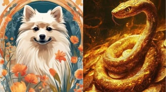 Chủ nhật 3/5: 3 con giáp dễ vấp thị phi chỉ vì lỡ lời, nói ít lại để tránh rắc rối