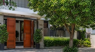 Vì sao không nên trồng cây lớn trước nhà? 3 lý do nhiều người chỉ nhận ra khi đã muộn