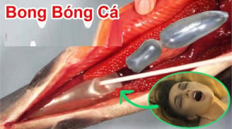 2 bộ phận quý nhất của con cá, nhiều người không biết bỏ phí