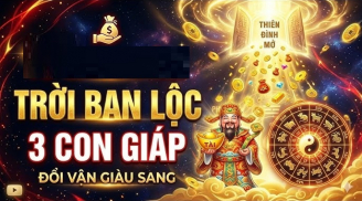 3 tuổi đại nạn đã qua, tháng 5,6 tranh thủ mà làm giàu