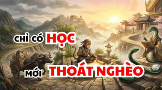 3 con giáp này mang mệnh Văn Xương, học càng cao đời càng Phú Quý