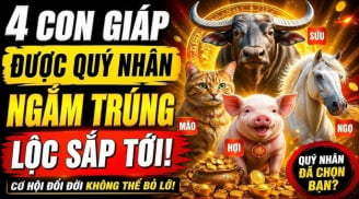 4 con giáp quý nhân ngắm trúng, đụng đâu cũng ra Tiền