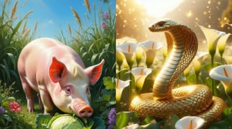 Chăm chỉ suốt tháng 5, 3 tuổi dễ gặp thử thách lớn trong công việc: Càng bình tĩnh càng dễ vượt qua