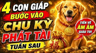 Chu kì phát tài mở ra: 4 con giáp rủ nhau gánh Lộc gánh Tiền