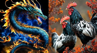 Từ nay đến giữa tháng 5: 3 con giáp đổi vận bất ngờ, tiền bạc khởi sắc thấy rõ