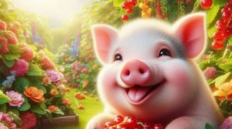 Từ nay tới Tết Đinh Mùi: 3 tuổi có thể lật ngược thế nghèo, nợ nần giảm mạnh, tài sản tăng nhanh