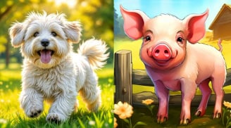 3 con giáp có số vượng gia đình, càng sống càng đủ đầy, hậu vận an yên