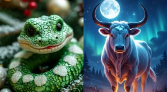 Càng im lặng càng giàu: 3 tuổi âm thầm bứt phá từ giữa tháng 5, tài lộc tăng tốc bất ngờ