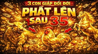 35 tuổi Tiền không đuổi cũng về, 3 con giáp No Nê ngồi hưởng