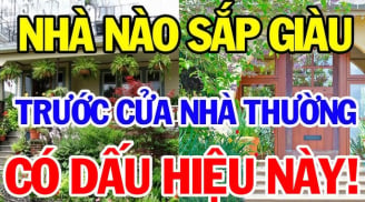 Nhà có 3 thứ này càng ở càng giàu có