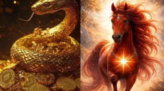 Thứ Sáu, Bảy (8-9/5): 3 con giáp đi chơi cũng có lộc tiền, càng vui càng dễ trúng vận may