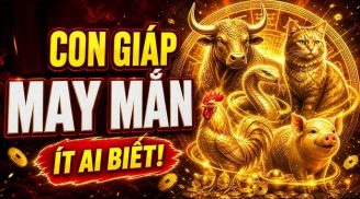 4 con giáp chào đời có thần May Mắn kề cận, Tiền chẳng mấy khi vơi