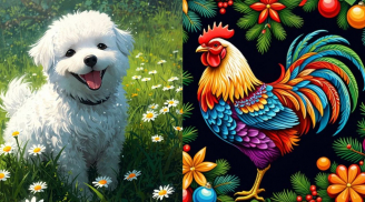 Từ 10-20/5: 3 tuổi đón cơ hội bất ngờ, vận may bật sáng như “trúng số”