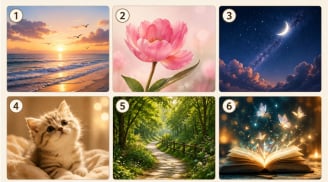 Quiz: Chọn 1 hình ảnh bạn thích nhất để khám phá trong mắt người khác, bạn là kiểu người như thế nào