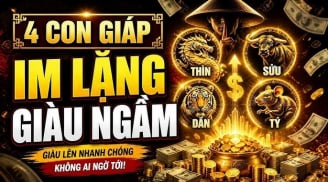Tẩm ngẩm tầm ngầm mà thành đại gia, 4 con giáp cứ im lặng lại giàu