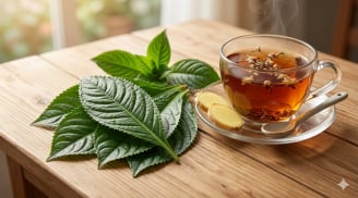 Trồng cây xương sông trong vườn, nhiều người mắc sai lầm khiến dược tính giảm đáng tiếc