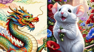 Tử vi tuần 11-17/5: 3 con giáp tài lộc khởi sắc, quý nhân xuất hiện mở lối bất ngờ