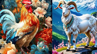 3 con giáp nữ thường có hôn nhân viên mãn: Càng già càng được yêu chiều, gia đình êm ấm