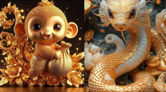3 tuổi càng lớn tuổi càng ham học: Không ngại đổi mới, càng sống càng “nâng cấp” bản thân