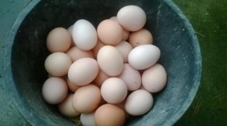 Người mắc 1 trong 5 bệnh này tuyệt đối không ăn trứng gà