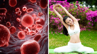 4 bộ phận trên cơ thể càng “mềm” càng sống lâu: Ai sở hữu đủ thật đáng mừng