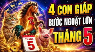 Tháng 5 gieo mầm, tháng 6 bật lên: 4 con giáp số hên kiếm Tiền dễ