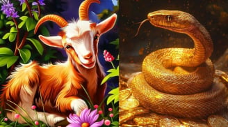 48 giờ tới: 3 con giáp dễ bị “đánh úp” vì lời nói, càng thân quen càng phải cẩn trọng