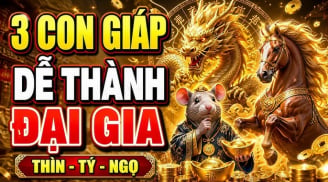 Họa từ miệng mà ra, 3 con giáp giữ miệng còn phước, nói ra mất Tiền