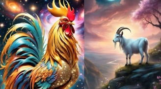 Từ 15/5-5/6: 2 con giáp dễ hỏng việc vì cả tin, 1 tuổi gặp quý nhân mở ra bước ngoặt lớn