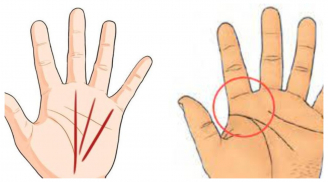 4 nét tướng trên bàn tay giàu có: Ai có được chính là cực phẩm may mắn