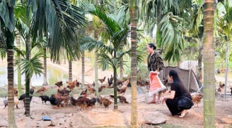 Bỏ công việc ổn định ở thành phố, nữ thủ khoa chọn sống giữa trang trại rộng hàng nghìn mét vuông