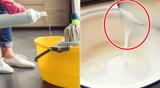 Đừng chỉ lau nhà với nước lã: Cho thêm thứ này vào sàn nhà sạch bong cả tuần không bám bụi