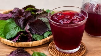 Người có 1 trong 4 bệnh lại cần cẩn trọng khi uống nước lá tía tô