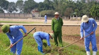 Tại sao cùng sử dụng ma túy nhưng có người đi tù, có người thì không?