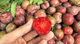 Loại quả nhỏ quen thuộc nhưng lại được xem là “siêu thực phẩm” giúp da đẹp và tóc khỏe hơn