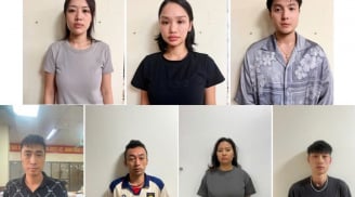 Miu Lê bị khởi tố, bắt tạm giam liên quan vụ ma túy ở Hải Phòng