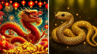Sau ngày 17/5: 3 tuổi Cá Chép Hóa Rồng, Tiền Vào Như Nước