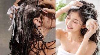 Gội đầu nên thoa dầu gội lên tóc hay lên da đầu? Nhiều người đang làm sai nên không sạch còn hại tóc