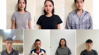 Miu Lê có thể đối diện mức án bao nhiêu năm tù?
