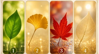 Quiz: Chiếc lá bạn yêu thích có thể tiết lộ khả năng nắm bắt cơ hội giàu có đang tới