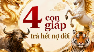 Trả hết nợ đời, 4 tuổi Tiền - Tài - Danh phất lên rực rỡ