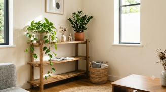 3 lý do nhiều gia đình hiện đại đặt cây xanh ở phòng khách, càng sống càng thấy lợi ích rõ rệt